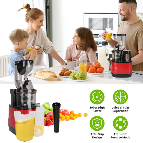 1Pc Cold Press Juicer Machine 300W Electric Slow Masticating Juicer For Whole Vegetable And Fruit With Reverse Function 2 Containers Cleaning Brush Clear Marks Easy Cleaning Fedex Shipping - Nook & Nest