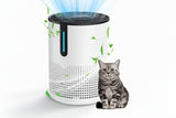 Air Purifier – H13 HEPA Filter, CADR 42m³/h, 4-Speed, Child Lock, 150× - Nook & Nest