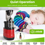 1Pc Cold Press Juicer Machine 300W Electric Slow Masticating Juicer For Whole Vegetable And Fruit With Reverse Function 2 Containers Cleaning Brush Clear Marks Easy Cleaning Fedex Shipping - Nook & Nest