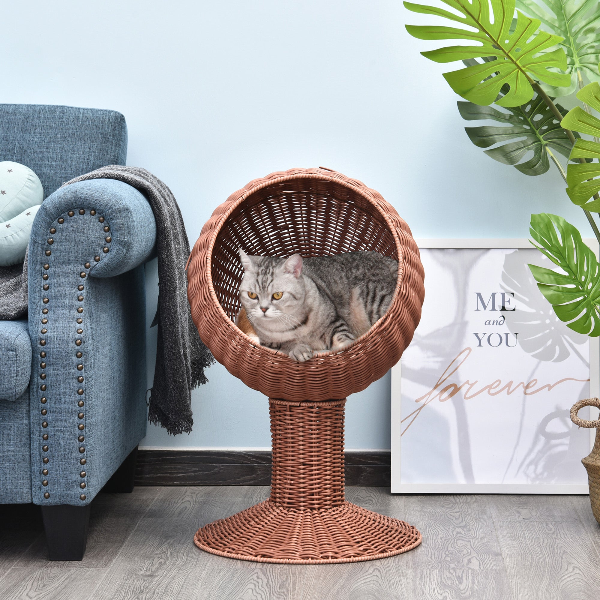 Elevated Cat Bed with Egg Chair – The Ultimate Cozy Retreat for Your Feline Friend - Nook & Nest