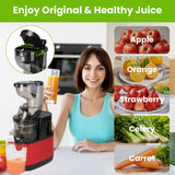 1Pc Cold Press Juicer Machine 300W Electric Slow Masticating Juicer For Whole Vegetable And Fruit With Reverse Function 2 Containers Cleaning Brush Clear Marks Easy Cleaning Fedex Shipping - Nook & Nest