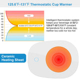 Auto Shut-Off Coffee Mug Warmer with Temperature Control - Nook & Nest