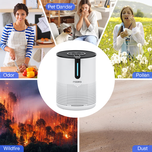 Experience Pure Air Anytime with the MOOKA Air Purifier for Home - Nook & Nest