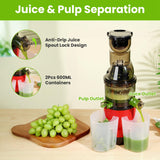 1Pc Cold Press Juicer Machine 300W Electric Slow Masticating Juicer For Whole Vegetable And Fruit With Reverse Function 2 Containers Cleaning Brush Clear Marks Easy Cleaning Fedex Shipping - Nook & Nest